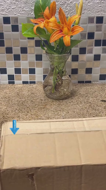 Extractor de Jugos Eléctrico – Frescura Natural en Segundos